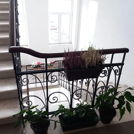 Valenti スプリト